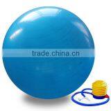 Natural Pvc Yoga Ball Hotsale Yoga Ball With Pump and Logo Printed thumbnail-6