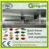 Tunnel Blast Freezer / Tunnel Freezer Price / Tunnel Quick Freezer