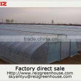 15 Years Warranty 100% Bayer Reinforced Cheap Plastic Agriculture Single Span Tunnel Greenhouse Quality Choice Most Popular thumbnail-5