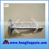 1007016-E00--Intake Valve ,Great Wall Auto Spare Part
