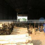 Eucalyptus Core Veneer thumbnail-6