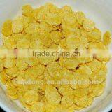 Corn Flakes Machine