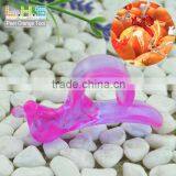 Cut Plastic Animal Peel Citrus Peeler