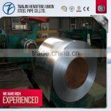 Pre-painted Galvanized Steel Coil Price/ Hot Dip Galvanized Steel Roofing Sheet thumbnail-2