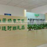 Sbon Arts & Crafts Company Limited company overview - view 1 thumbnail