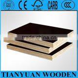 28mm Container Flooring Plywood Manufacturer China thumbnail-5