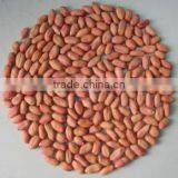 Chinese Peanut Kernel With Whole Price From Factory thumbnail-3