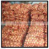 Fresh Red Onion in Mesh Bags thumbnail-1