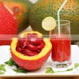 Natural Lycopene Powder/0.1-4% Lycopene From Gac Fruit Powder Extract thumbnail-2