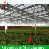 Large Scale Multi-span PC Sheet/board Greenhouse for Flower Plant thumbnail-5