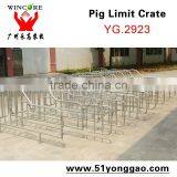 2.0mm Galvanized Pipe Pig Limit Crate Swine Gestation Cage for Pig Farm Equipment thumbnail-1
