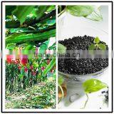Natural Humic Acid From Leonardite/Lignite