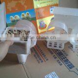 Pigeon Water Feeder , Plastic Pigeon Feeder thumbnail-4