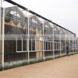 High-tech Glass Greenhouse With Vent System And Heating Solar System thumbnail-2