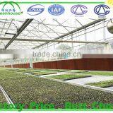 Agricultural Glass Greenhouse for Sale thumbnail-6
