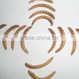 Professional Hikari Fish Food Animal Feed Mealworm thumbnail-1