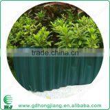 Vegetable Garden Edging thumbnail-5