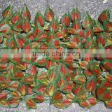 Long Life Green UV Protection Plastic Boxwood Artificial Mat thumbnail-1