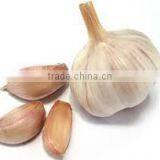 Garlic Oil thumbnail-2