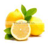 Fresh Citrus Fruits /Yellow Eureka Fresh Lemon thumbnail-3