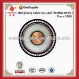 Single Core Cable Aluminum Wire Armoured Cable Specifications--AWA Armored Cable thumbnail-2