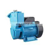 High Pressure Self Priming Pump, Domestic Booster Pump, Automatic Pump thumbnail-2