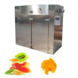 fruit drying machine manufacturers in india