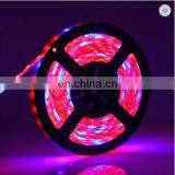 Светодиодные ленты для выращивания растений 5050 SMD LED Plant Strips Light длиной 16,4 фута для аквариума, теплицы и гидропоники thumbnail-2