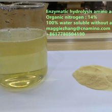 Hydrolyzed Pure Soyben Protein Organic Nitrogen 14% With Enzymatic Amino Acids Powder 80% Completely Water Soluble Without Chlorine thumbnail-1