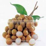 Longan Fruit