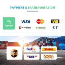 Wholesale Bulk Price 100% Pure EUCALYPTUS Essential Oil (new) Relax Aromatherapy Eucalyptus Globulus thumbnail-5