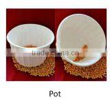 Biodegradable Pot