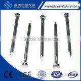 Electro Galvanized Concrete Nails With Plain Shank