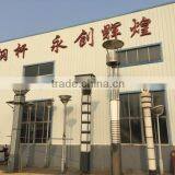 Decorative Light High Quality Designed for Garden Light Pole thumbnail-2