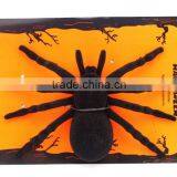 Halloween Spider Decoration thumbnail-2
