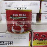 Thick Pasty Tomato Paste in Can 2200gram thumbnail-2