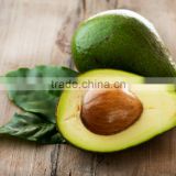 Fuerte and Hass Avocado available