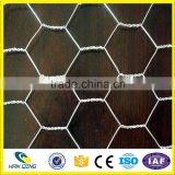 Weave Mesh Type and Hexagonal Hole Shape Hexagonal Wire Mesh for Zoo Bird Cages thumbnail-3