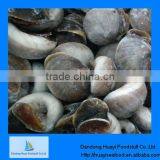 cheap frozen yummy moon snail good taste