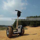 Hot Sale 19 Inch Two Wheels Self Balancing off Road Electric Scooter With Brushless Motor