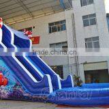 Commercial Inflatable Nemo Cartoon Water Slide With Pool, Giant Inflatable Water Slide for Sale Quality Choice thumbnail-1