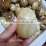 Polished Yellow Onyx Stone Eggs