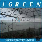 Single Span Polycarbonate Sheet Greenhouse for Orchid thumbnail-2