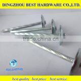 2.5 Inch Roofing Nail With Washers thumbnail-1