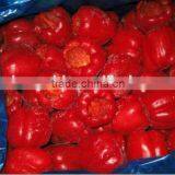 IQF Frozen Red Bell Pepper thumbnail-2