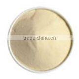 Vital Wheat Gluten thumbnail-1