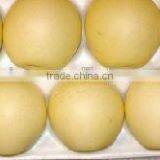 Golden Pear thumbnail-2