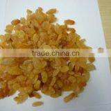 Dried Golden Raisin for the Middle East Market thumbnail-4