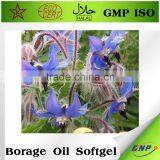 GMP ISO High Quality Borage Oil Softgel Capsule thumbnail-1