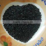 Black Sesame Seeds thumbnail-1